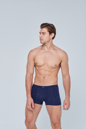 Трусы мужские боксеры Rogers 8972 хлопок, эластан размеры 3XL, 4XL, 5XL