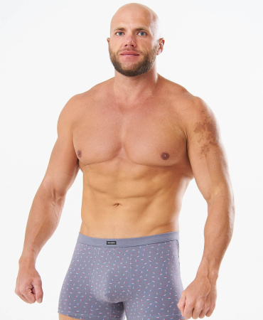 Трусы мужские боксеры Rogers 8974 хлопок, эластан размеры 3XL, 4XL, 5XL