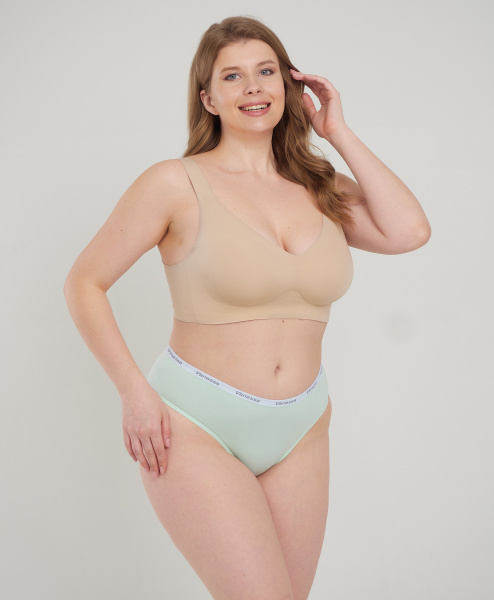 Трусы женские слипы Vanessa 6804-03 хлопок, эластан цветные размеры 2XL, 3XL, 4XL