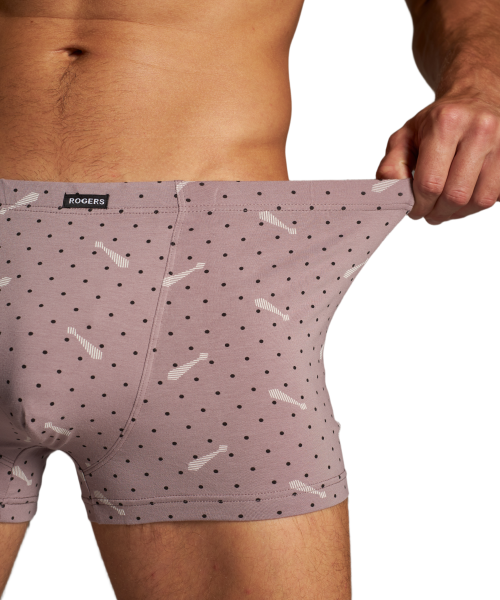 Трусы мужские боксеры Rogers 80468 хлопок, эластан размеры M, L, XL, 2XL