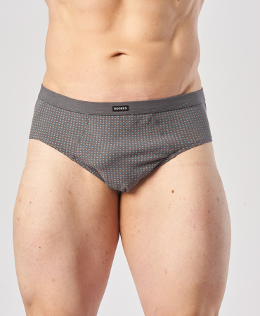 Трусы мужские слипы Rogers 8811 хлопок, эластан размеры 3XL, 4XL, 5XL