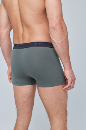 Трусы мужские боксеры Rogers 8976 хлопок, эластан размеры 3XL, 4XL, 5XL