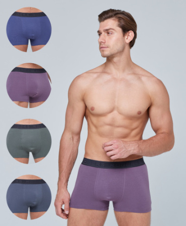 Трусы мужские боксеры Rogers 8976 хлопок, эластан размеры 3XL, 4XL, 5XL