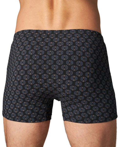 Трусы мужские боксеры Black Project 70479 (без вешалок) хлопок, эластан размеры L, XL, 2XL, 3XL