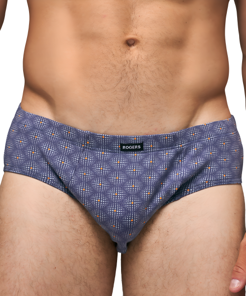 Трусы мужские слипы Rogers 508-73 хлопок, эластан размеры M, L, XL, 2XL