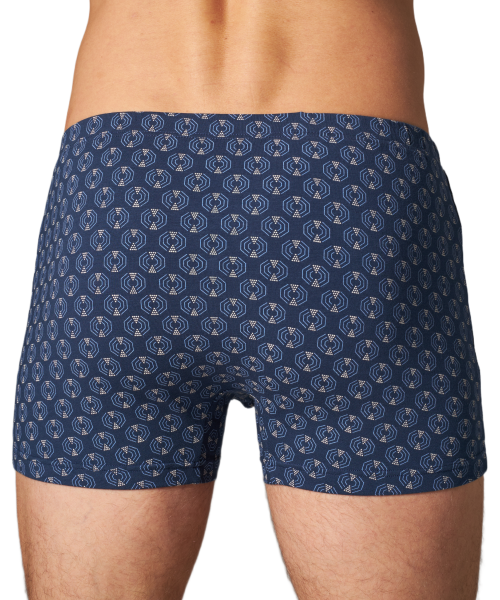 Трусы мужские боксеры Rogers 8990 хлопок, эластан размеры 3XL, 4XL, 5XL