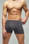 Трусы мужские боксеры Rogers 8638 модал, эластан размеры 3XL, 4XL, 5XL