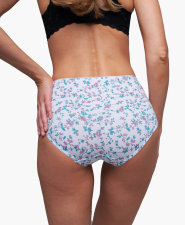 Трусы женские слипы Vanessa 6803-80 хлопок, эластан размеры L, XL, 2XL, 3XL