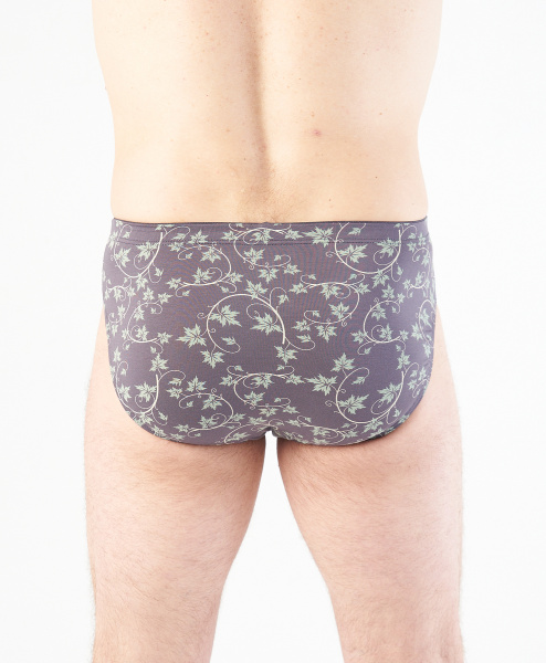 Трусы мужские слипы Rogers 84126 модал, эластан размеры M, L, XL, 2XL