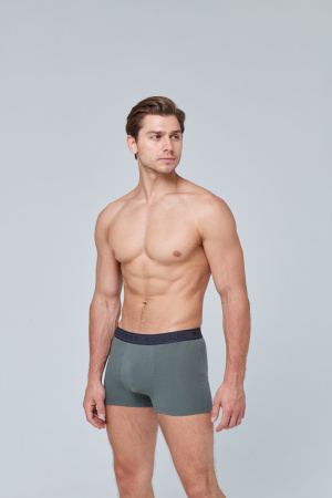 Трусы мужские боксеры Rogers 8976 хлопок, эластан размеры 3XL, 4XL, 5XL