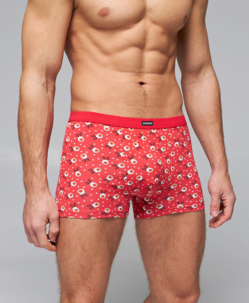 Трусы мужские боксеры Rogers 80441 хлопок, эластан размеры M, L, XL, 2XL, 3XL