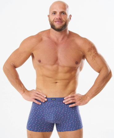 Трусы мужские боксеры Rogers 8974 хлопок, эластан размеры 3XL, 4XL, 5XL