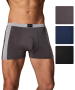 Трусы мужские боксеры Rogers 83131 модал, эластан размеры M, L, XL, 2XL