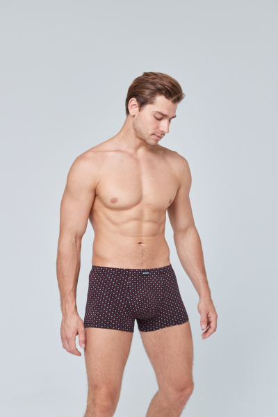 Трусы мужские боксеры Rogers 8916 хлопок, эластан размеры 3XL, 4XL, 5XL