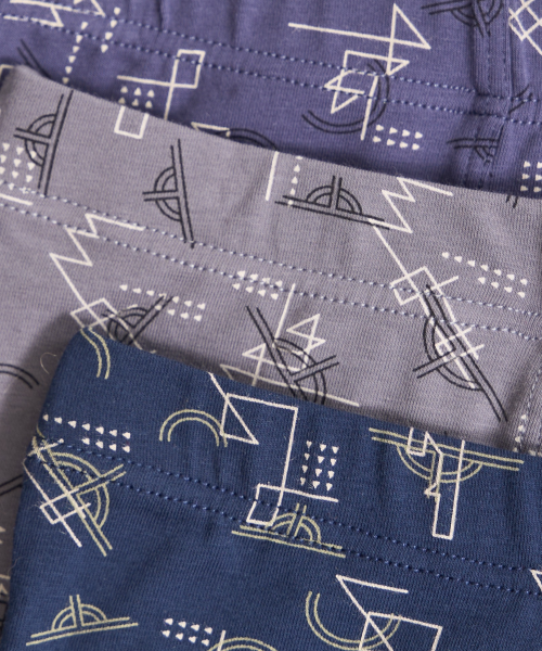 Трусы мужские боксеры Black Project 70477 (без вешалок) хлопок, эластан размеры L, XL, 2XL, 3XL