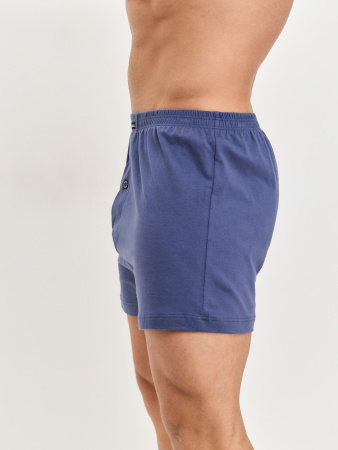 Трусы мужские боксеры семейные Rogers 532E (без вешалок) хлопок размеры M, L, XL, 2XL, 3XL, 4XL, 5XL, 6XL