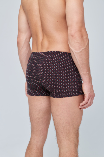 Трусы мужские боксеры Rogers 8916 хлопок, эластан размеры 3XL, 4XL, 5XL