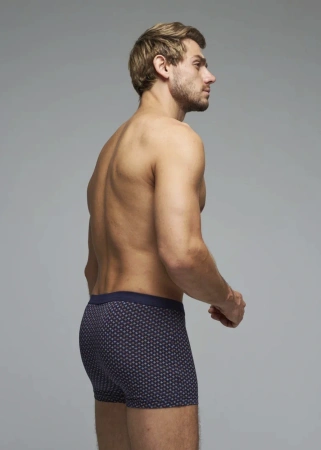 Трусы мужские боксеры Rogers 83147 модал, эластан размеры M, L, XL, 2XL