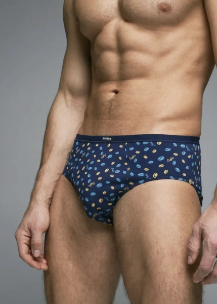 Трусы мужские слипы Rogers 508-71 хлопок, эластан размеры M, L, XL, 2XL