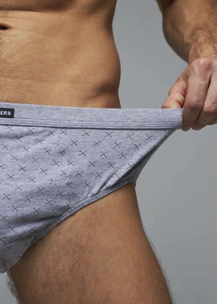 Трусы мужские слипы Rogers 8820 хлопок, эластан размеры 3XL, 4XL, 5XL