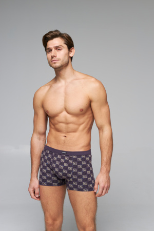 Трусы мужские боксеры Rogers 80239 хлопок, эластан размеры M, L, XL, 2XL