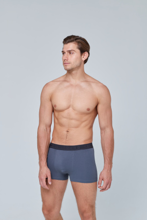 Трусы мужские боксеры Rogers 8976 хлопок, эластан размеры 3XL, 4XL, 5XL