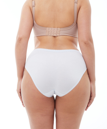 Трусы женские слипы Vanessa 6804-04 хлопок, эластан размеры 2XL, 3XL, 4XL