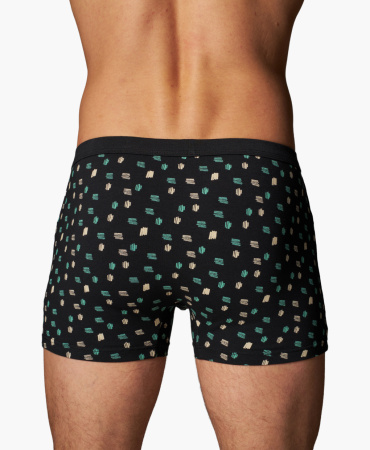 Трусы мужские боксеры Rogers 80459 хлопок, эластан размеры M, L, XL, 2XL