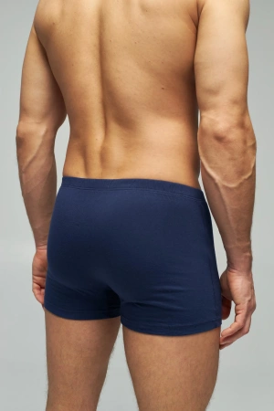 Трусы мужские боксеры Rogers 595E хлопок 100% размеры M, L, XL, 2XL