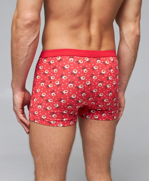 Трусы мужские боксеры Rogers 80441 хлопок, эластан размеры M, L, XL, 2XL, 3XL