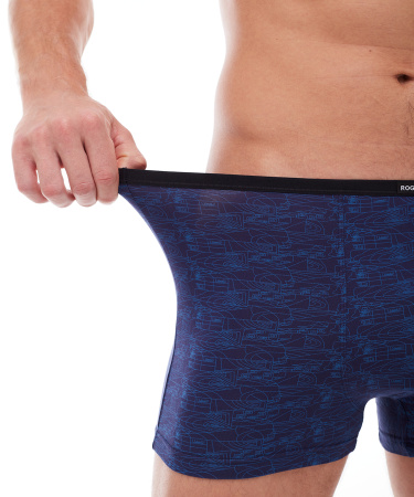 Трусы мужские боксеры Rogers 8349 модал, эластан размеры M, L, XL, 2XL