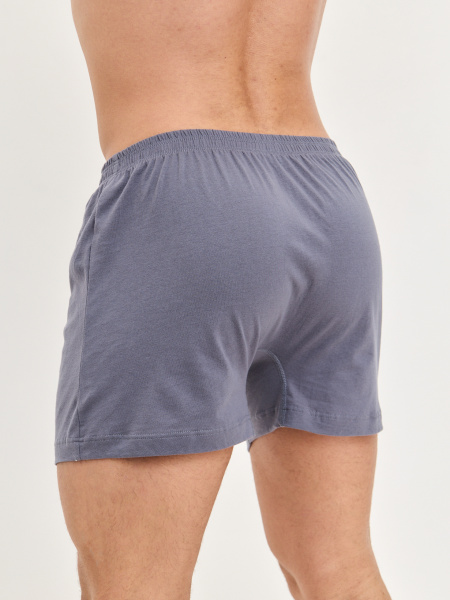 Трусы мужские боксеры семейные Rogers 532E (без вешалок) хлопок размеры M, L, XL, 2XL, 3XL, 4XL, 5XL, 6XL