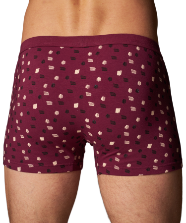 Трусы мужские боксеры Rogers 8992 хлопок, эластан размеры 3XL, 4XL, 5XL