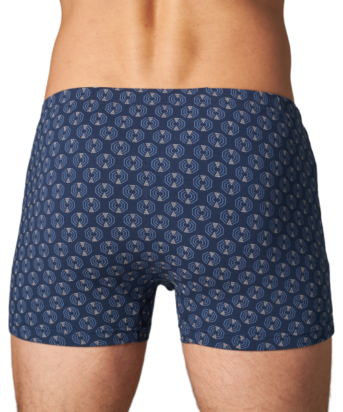 Трусы мужские боксеры Black Project 70479 (без вешалок) хлопок, эластан размеры L, XL, 2XL, 3XL