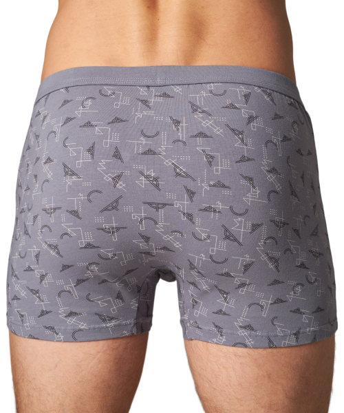 Трусы мужские боксеры Black Project 70477 (без вешалок) хлопок, эластан размеры L, XL, 2XL, 3XL