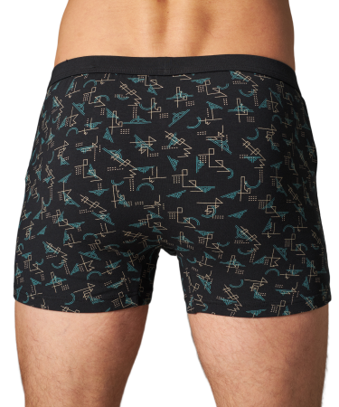 Трусы мужские боксеры Rogers 8991 хлопок, эластан размеры 3XL, 4XL, 5XL