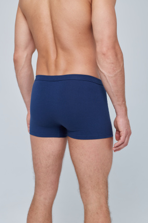 Трусы мужские боксеры Rogers 8979 хлопок, эластан размеры 3XL, 4XL, 5XL