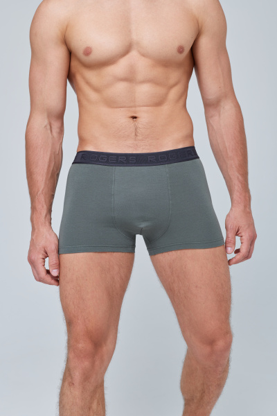 Трусы мужские боксеры Rogers 8976 хлопок, эластан размеры 3XL, 4XL, 5XL
