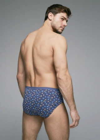 Трусы мужские слипы Rogers 508-71 хлопок, эластан размеры M, L, XL, 2XL