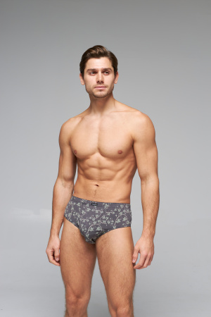 Трусы мужские слипы Rogers 85001 модал, эластан размеры 3XL, 4XL, 5XL