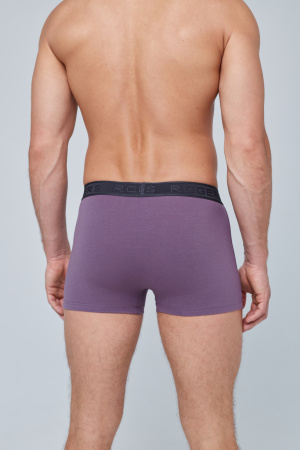 Трусы мужские боксеры Rogers 8976 хлопок, эластан размеры 3XL, 4XL, 5XL