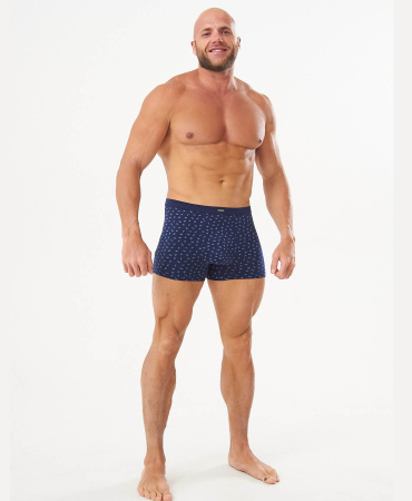 Трусы мужские боксеры Rogers 8974 хлопок, эластан размеры 3XL, 4XL, 5XL