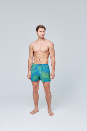 Трусы мужские боксеры семейные Rogers 5523 хлопок размеры M, L, XL, 2XL, 3XL, 4XL, 5XL