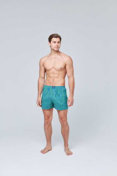 Трусы мужские боксеры семейные Rogers 5523 хлопок размеры M, L, XL, 2XL, 3XL, 4XL, 5XL