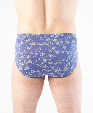 Трусы мужские слипы Rogers 84126 модал, эластан размеры M, L, XL, 2XL