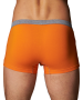 Трусы мужские боксеры Rogers 80370 хлопок, эластан размеры M, L, XL, 2XL