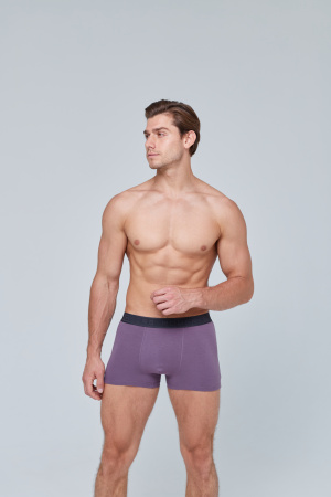 Трусы мужские боксеры Rogers 8976 хлопок, эластан размеры 3XL, 4XL, 5XL