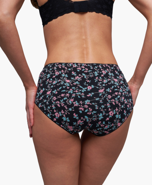 Трусы женские слипы Vanessa 6803-80 хлопок, эластан размеры L, XL, 2XL, 3XL