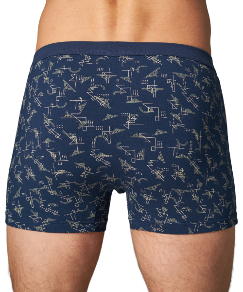 Трусы мужские боксеры Black Project 70477 (без вешалок) хлопок, эластан размеры L, XL, 2XL, 3XL