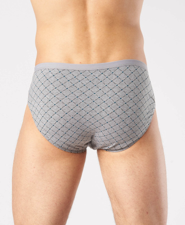 Трусы мужские слипы Rogers 508-67 хлопок, эластан размеры M, L, XL, 2XL